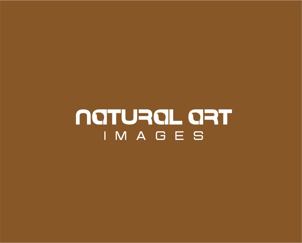 Logo Design by Atemolesky for this project | Design #876008