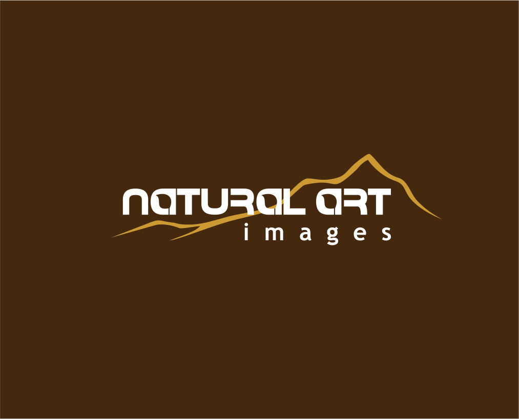 Logo Design by Atemolesky for this project | Design #896209