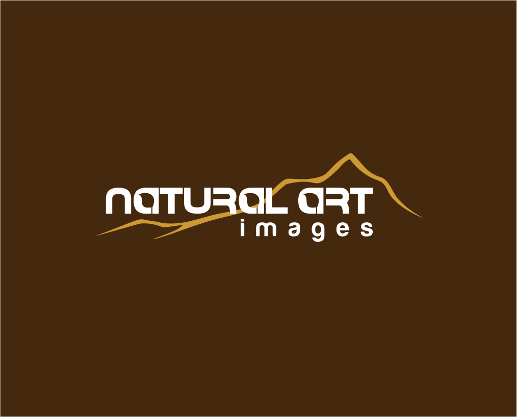 Logo Design by Atemolesky for this project | Design #896220