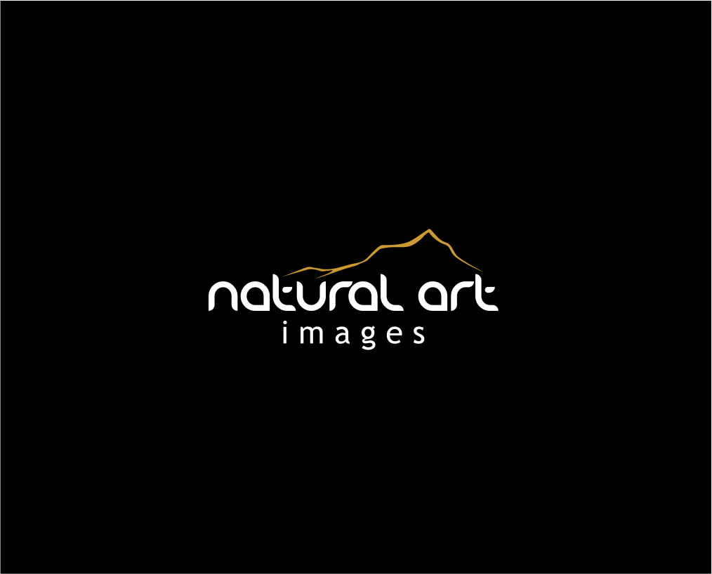 Logo Design by Atemolesky for this project | Design #896919