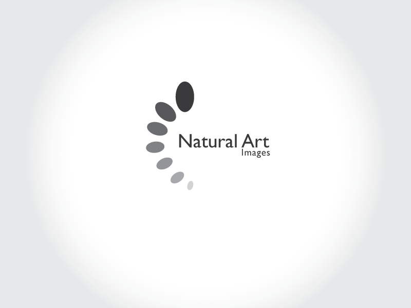 Logo Design by ellebrea for this project | Design #878374