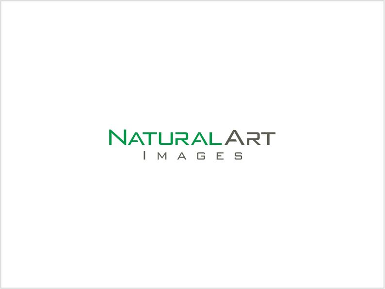 Logo Design by Logocraft for this project | Design #873966