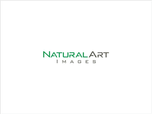 Logo Design by Logocraft for this project | Design: #873966