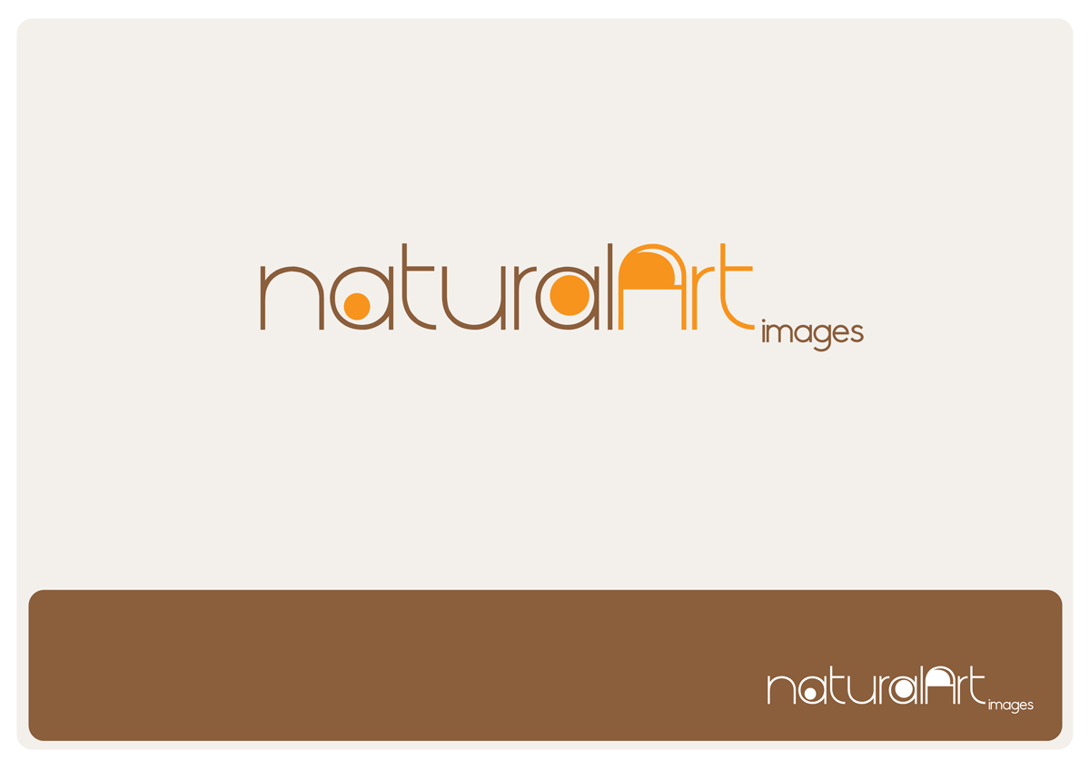 Logo-Design von Gracey für dieses Projekt | Design #885997