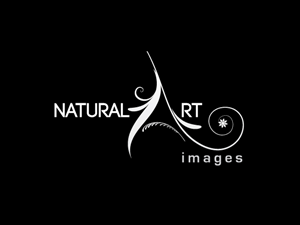 Logo Design by Akshay for this project | Design: #886275