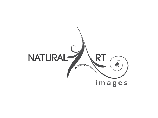 Design de Logo par Akshay pour ce projet | Design #886277