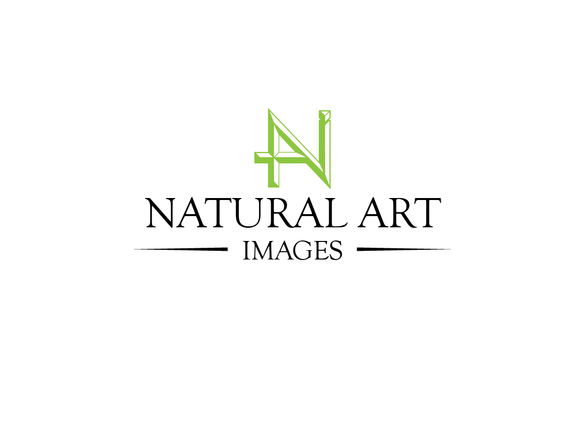 Logo Design by JaseBloorDesign for this project | Design #881145
