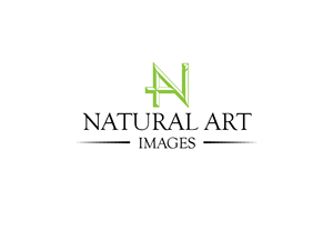 Logo Design by JaseBloorDesign for this project | Design: #881145