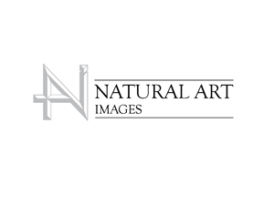 Logo Design by JaseBloorDesign for this project | Design: #881147