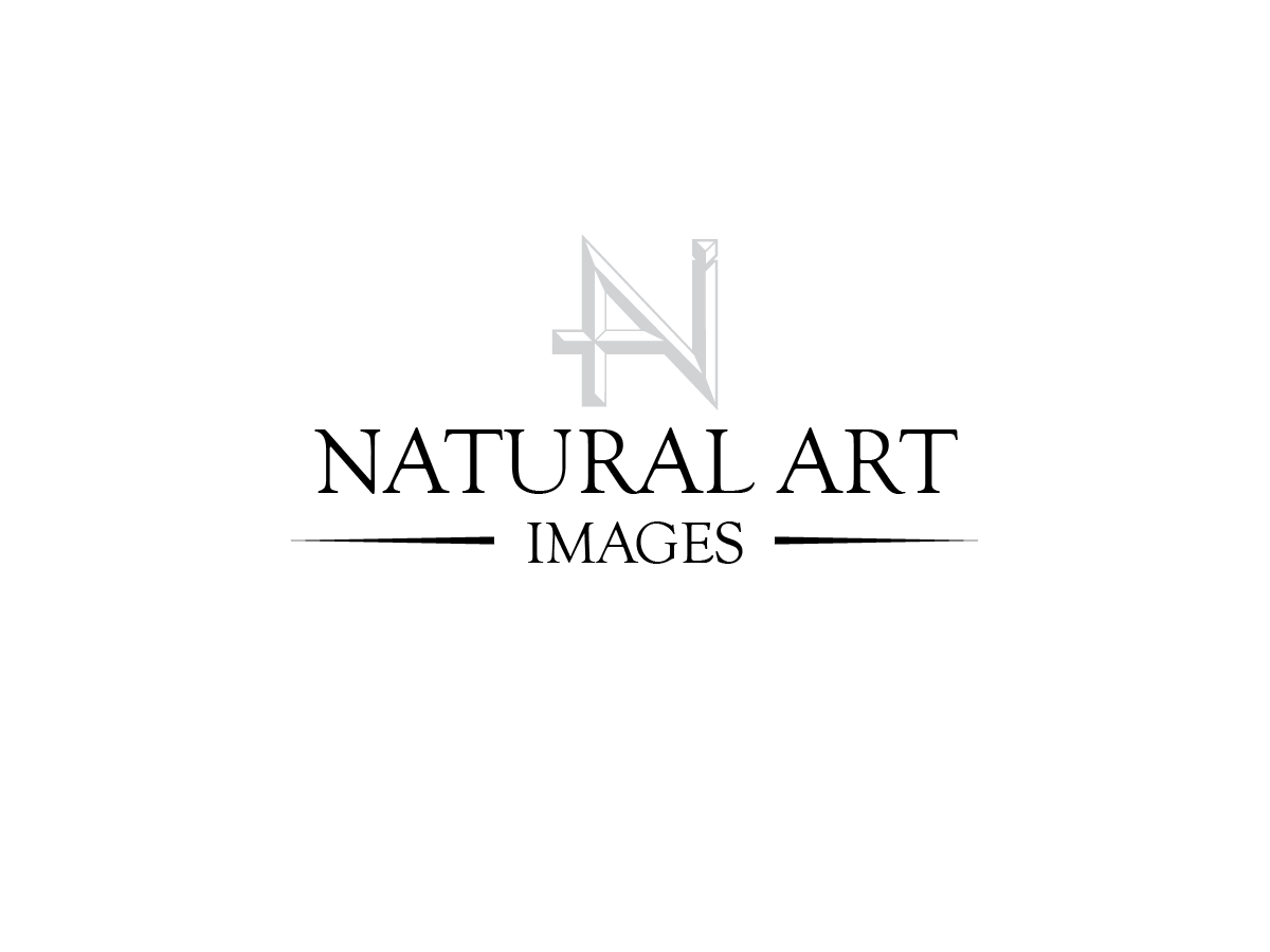 Diseño de Logo por JaseBloorDesign para este proyecto | Diseño #881149