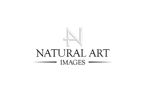 Logo Design by JaseBloorDesign for this project | Design: #881149