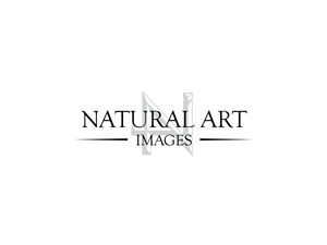 Logo Design by JaseBloorDesign for this project | Design: #881152