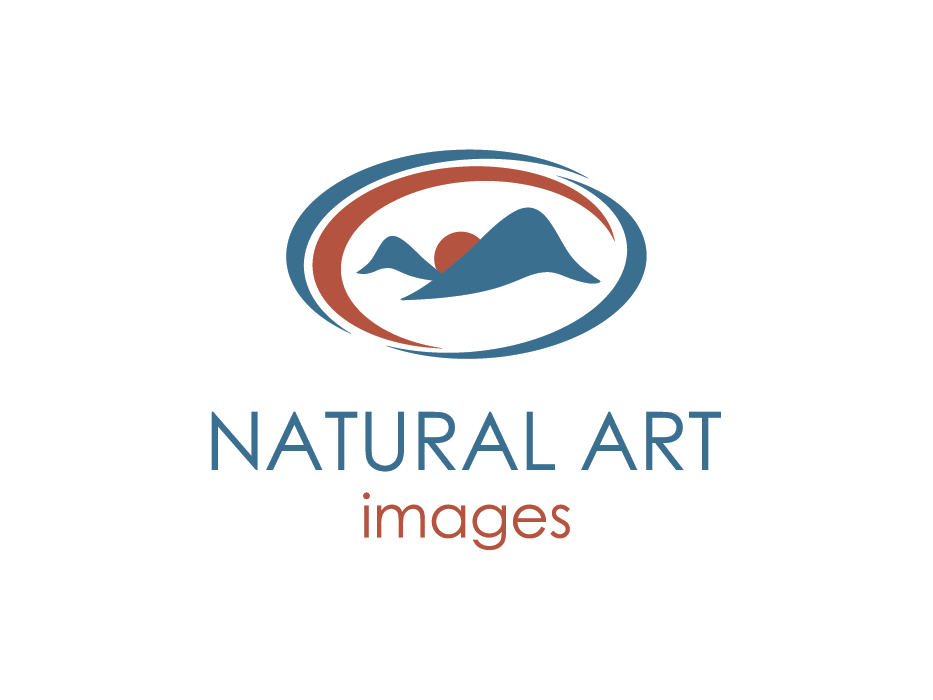 Logo Design by Preethu for this project | Design #889238
