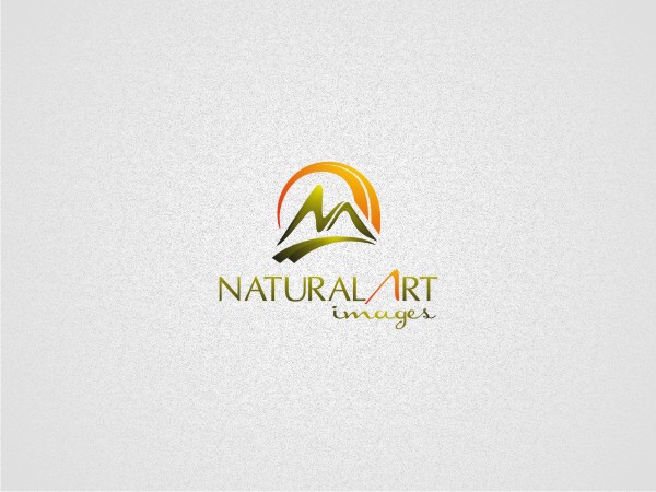 Logo Design by bilhillart for this project | Design #906538