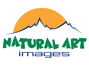 Logo Design by mcreations for this project | Design: #894122