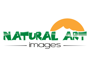 Logo Design by mcreations for this project | Design: #894123