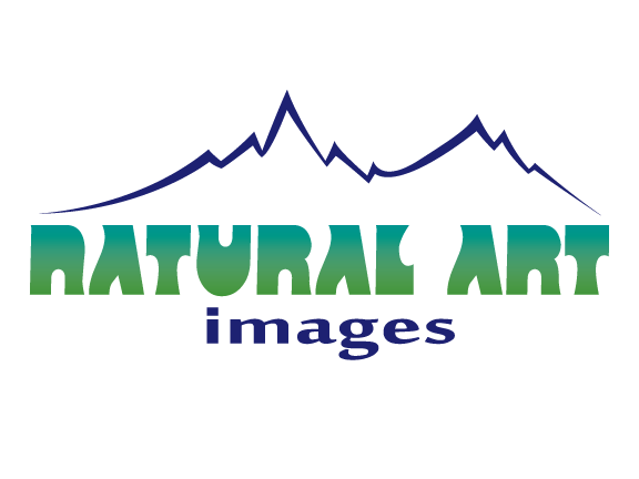 Logo Design by mcreations for this project | Design #894124