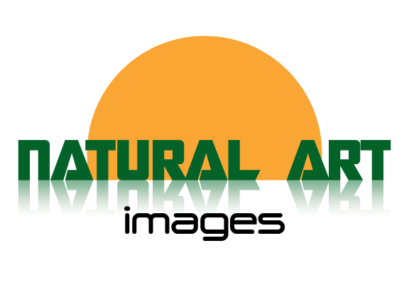 Logo Design by mcreations for this project | Design #894125