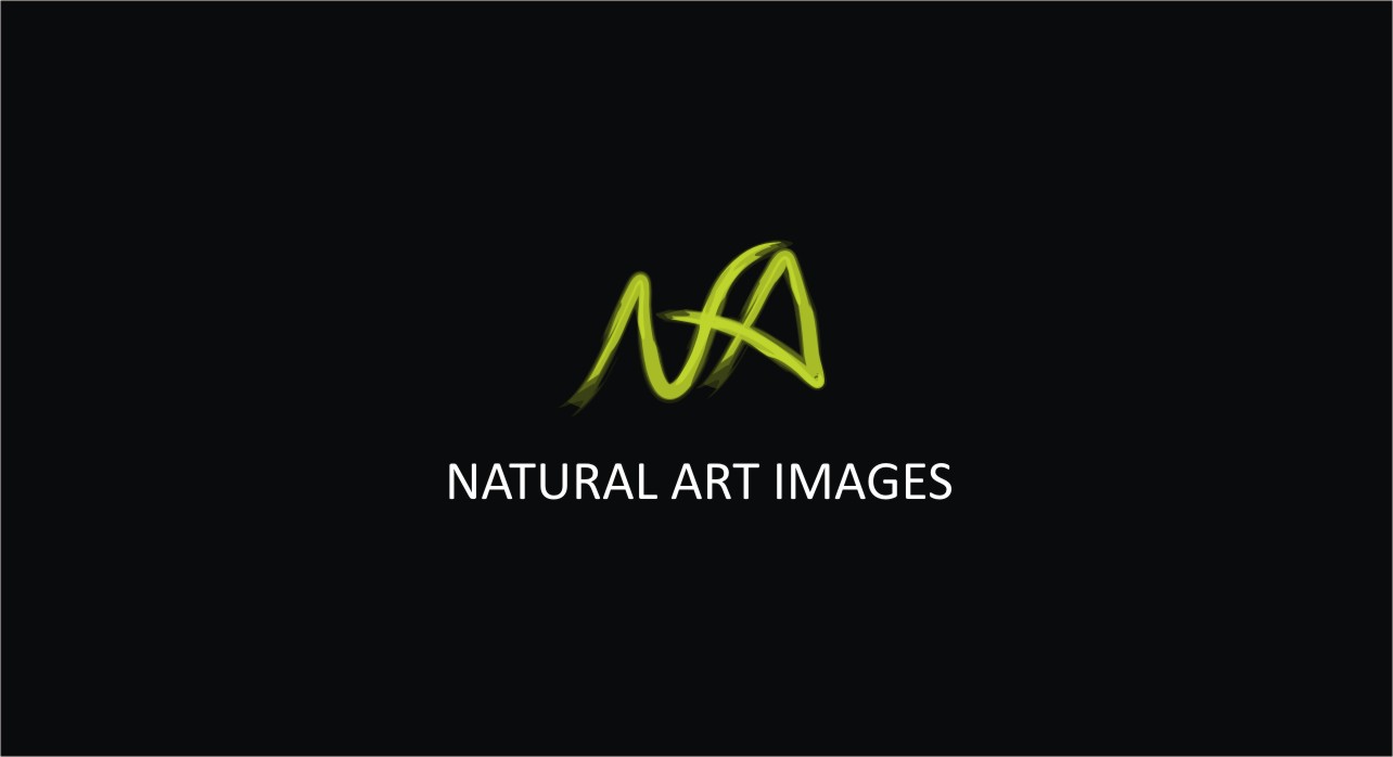 Logo Design by Elvis for this project | Design #884841