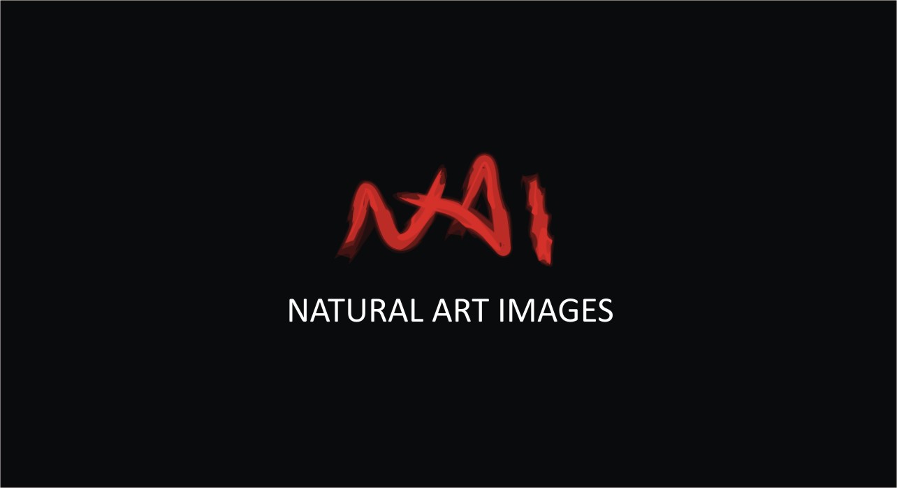 Logo Design by Elvis for this project | Design #884842