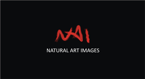 Logo Design by Elvis for this project | Design: #884842