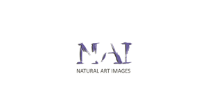 Logo Design by Elvis for this project | Design: #884845