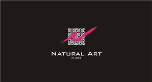Logo Design by Elvis for this project | Design: #884858