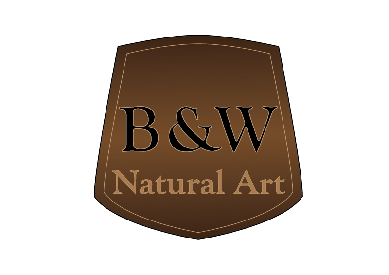 Logo-Design von Noemi Design für dieses Projekt | Design #881614