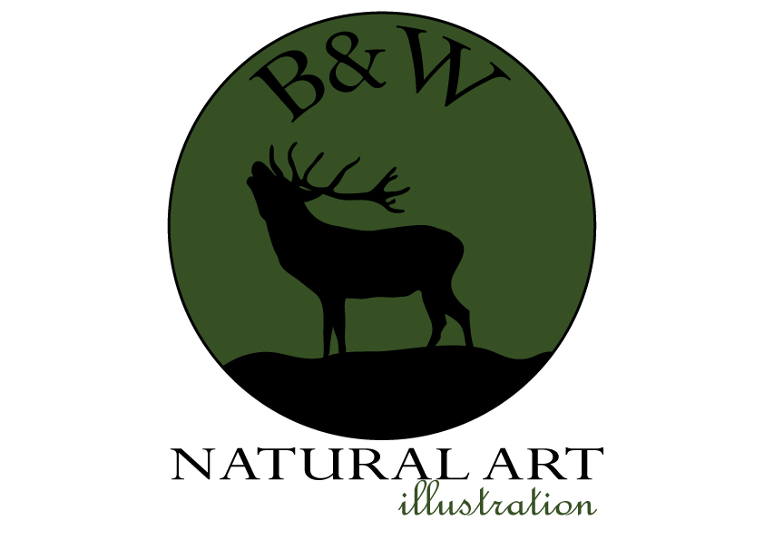 Logo Design by Noemi Design for this project | Design #887233