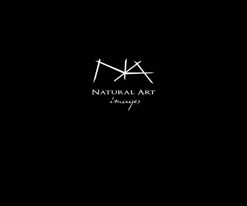 Logo Design by motokouzi for this project | Design #876815
