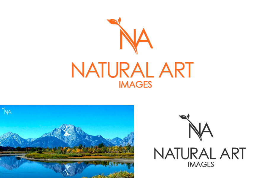 Logo Design by MRF Designs for this project | Design #879501