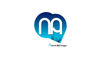 Logo Design by FREEDOMLOGO for this project | Design #876265