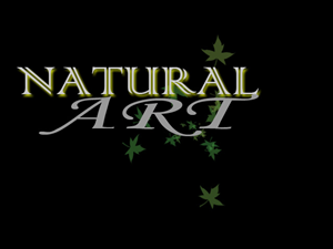 Logo Design by werner for this project | Design: #889219