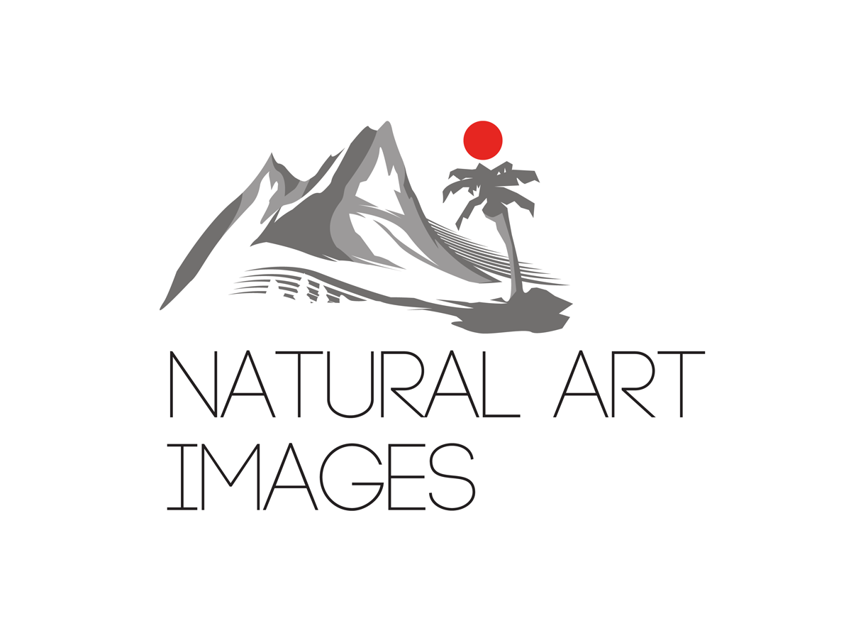 Logo Design by Re-Bud for this project | Design #877984