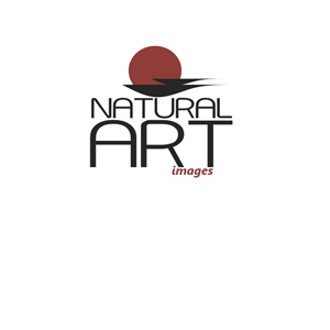 Logo Design by LindaDN