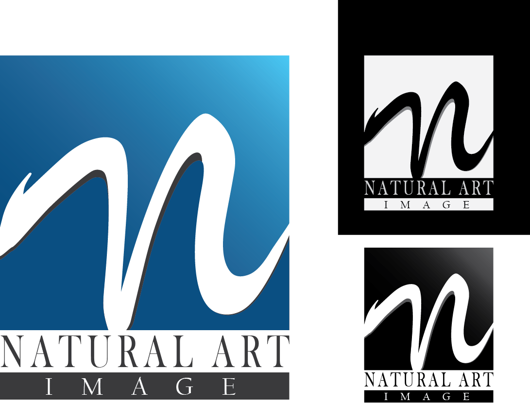 Logo Design by O.B for this project | Design #882498
