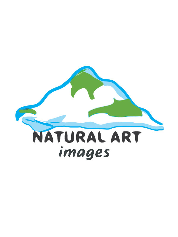 Logo Design by Swati for this project | Design #891081