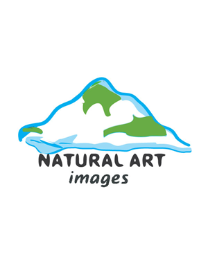Logo Design by Swati for this project | Design: #891081