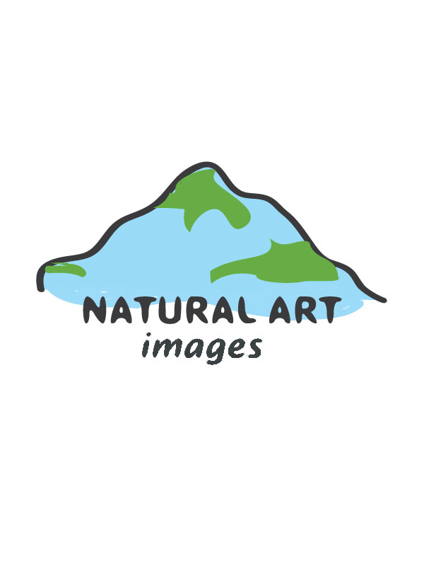 Logo Design by Swati for this project | Design #891091