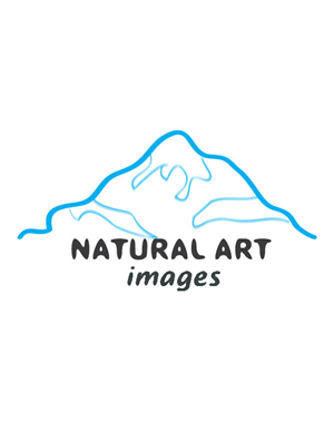Logo Design by Swati for this project | Design: #891104