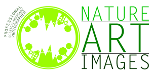 Logo Design by Rafael for this project | Design: #889640