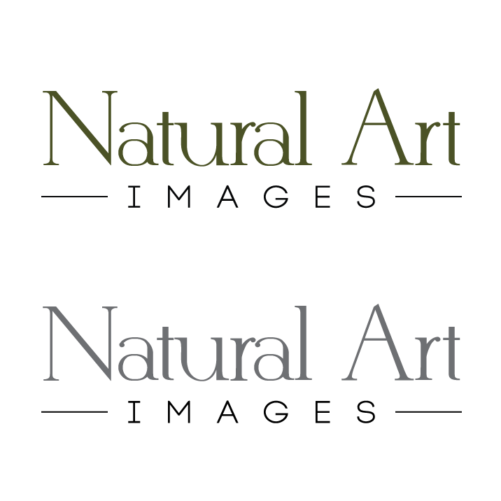 Logo Design by TSDesign for this project | Design #877513