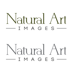 Logo Design by TSDesign