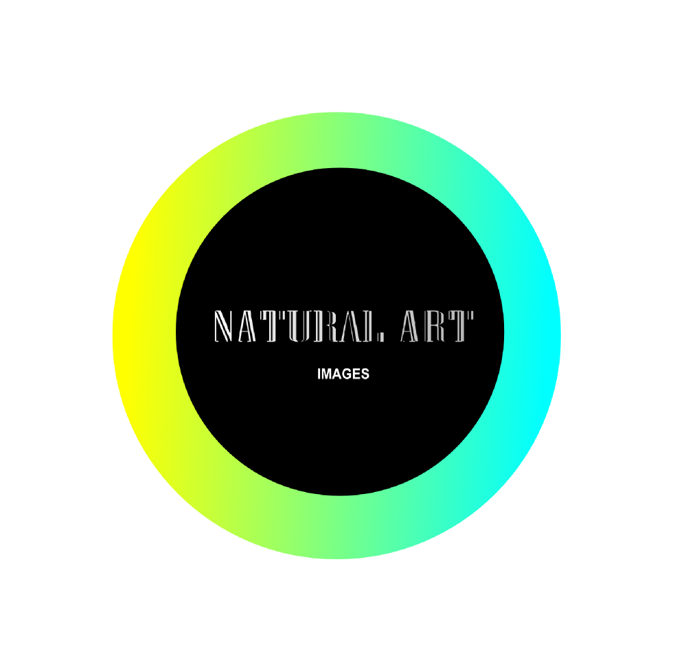 Diseño de Logo por angeltodiefor para este proyecto | Diseño #880713