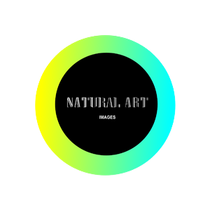 Logo Design by angeltodiefor