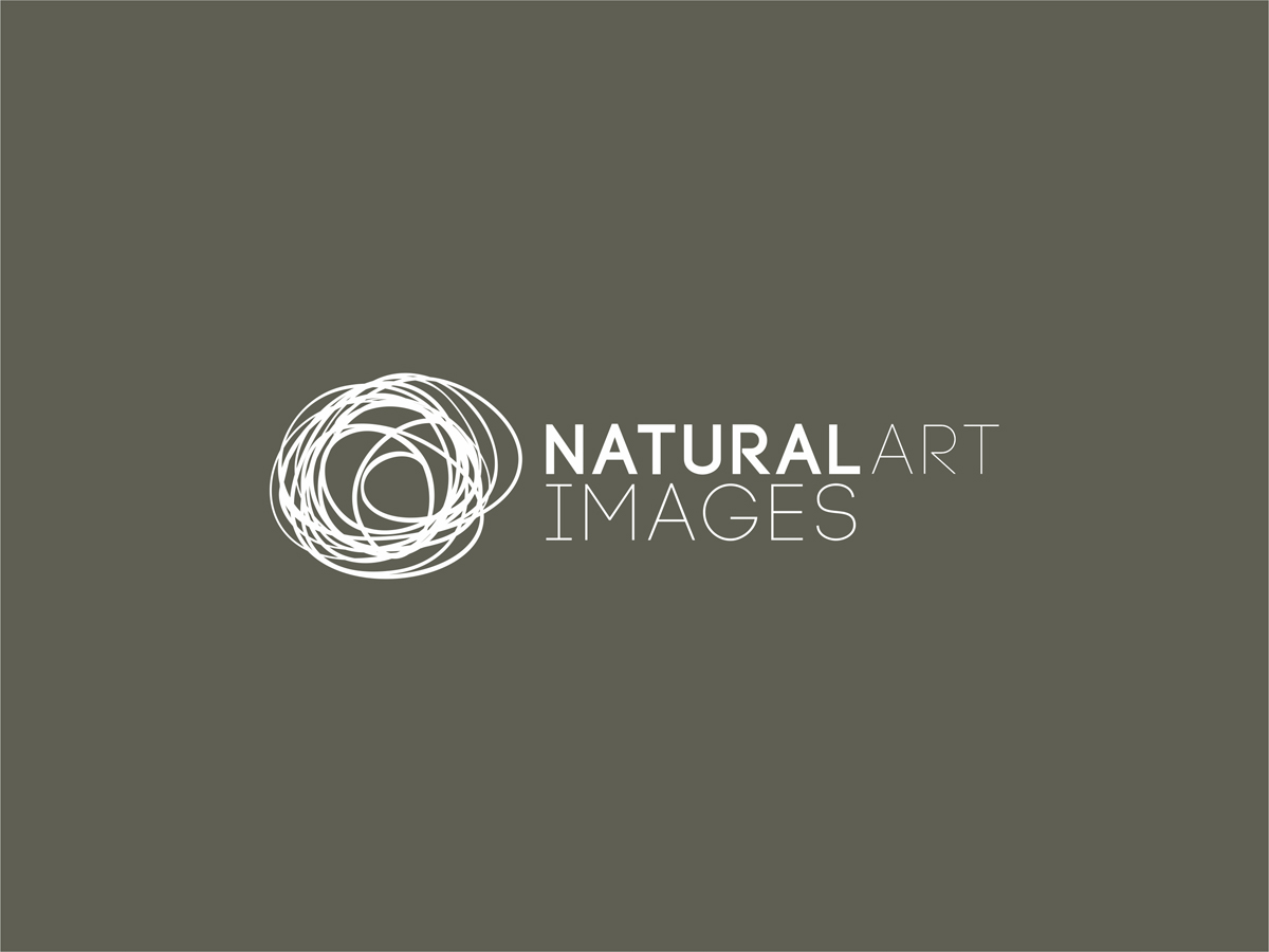 Logo Design by Cameron McLachlan for this project | Design #874916