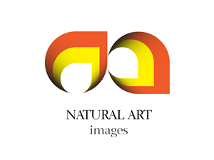 Logo Design by FZ for this project | Design: #892305