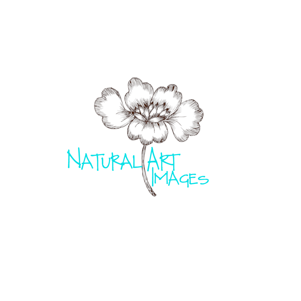 Logo Design by TBPhotography for this project | Design #875724