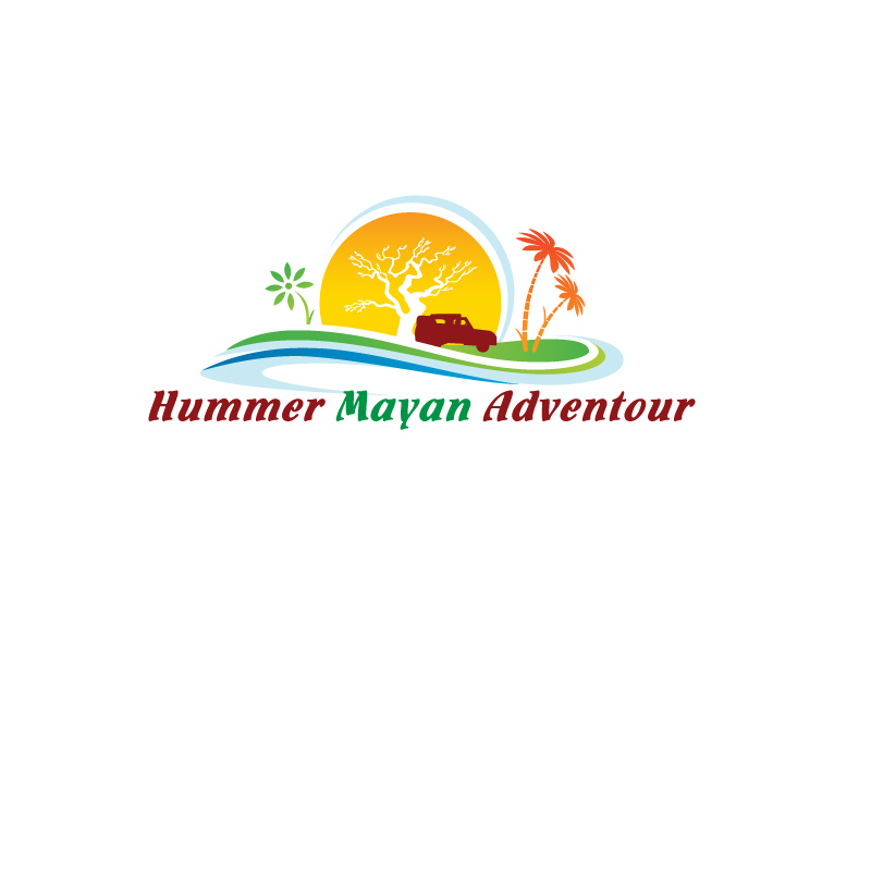 Design de Logo par instudio pour Cozumel Adventours S de R L de C V | Design #3499120