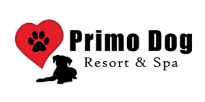 Logo Design by KSI